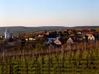 Vinařská obec Pavlov